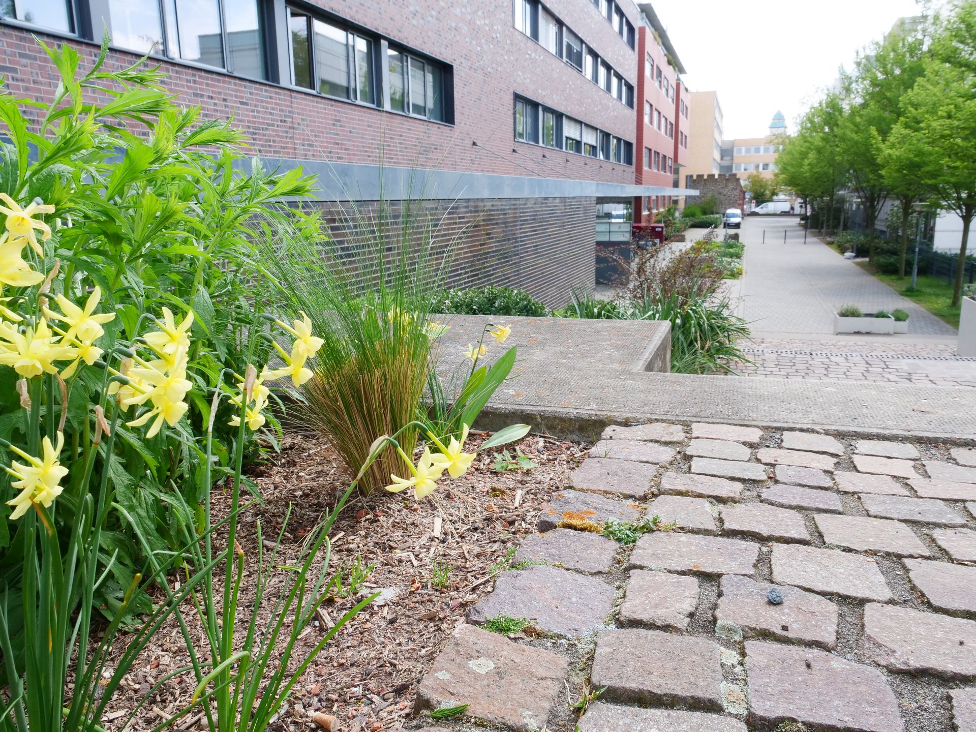 Kom Gebaeude (2)  2022.04.26  Copyright Kom Multimedia Communications Lab Tu Darmstadt